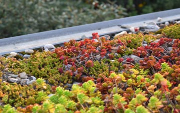 the cost of Upper Layham green roof installation