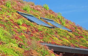 Upper Layham living roof systems