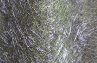 Upper Layham fibreglass roof work